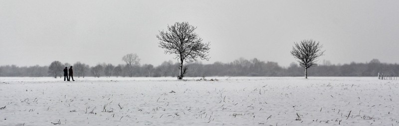 1 IMG_8809k2