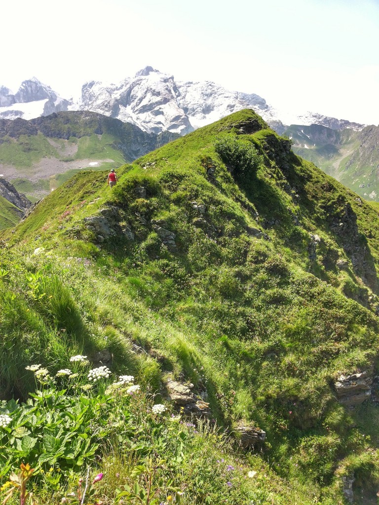 20150707_121103-01 (FILEminimizer)