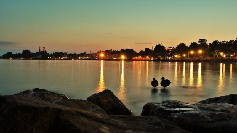 IMG_5920 (3) (FILEminimizer)