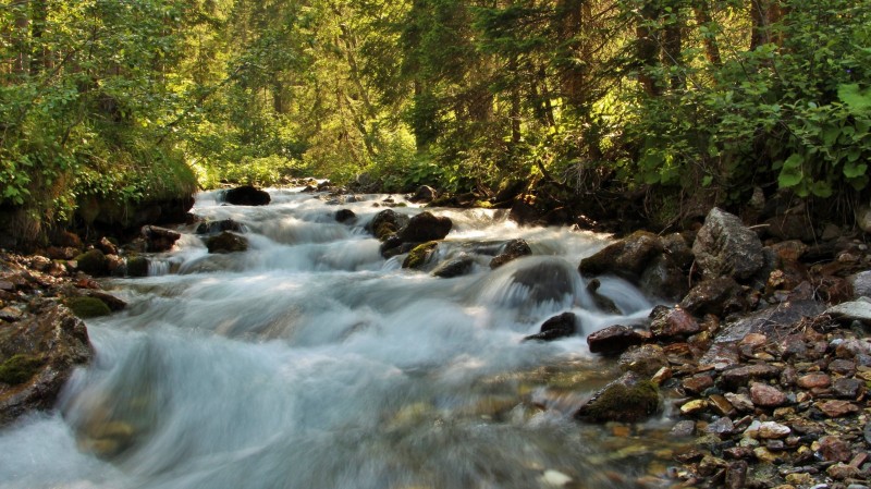 IMG_6138 (3) (FILEminimizer)